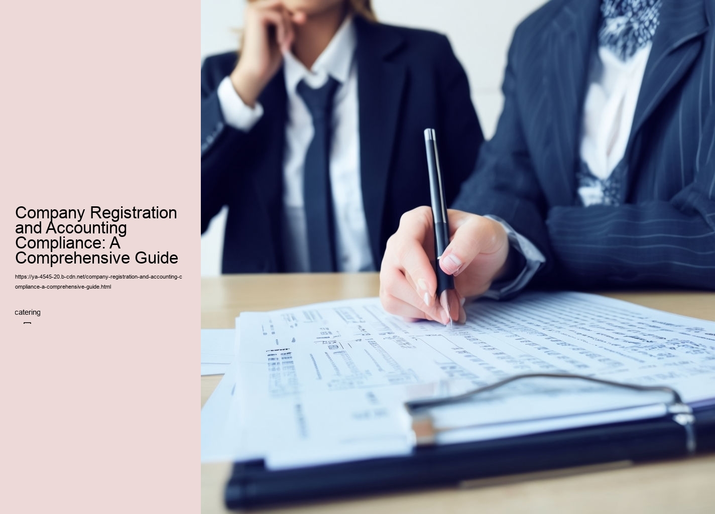 Company Registration and Accounting Compliance: A Comprehensive Guide